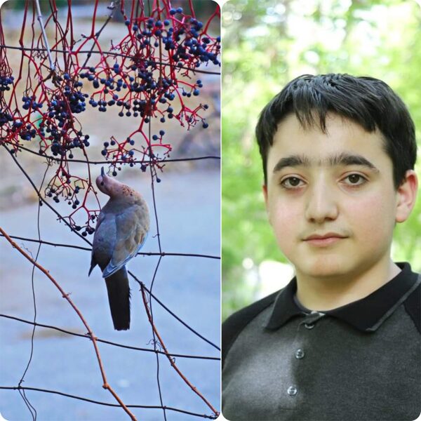 Dali’s Mustache միջազգային մրցույթում Ազնավուր քոլեջի ուսանող Հակոբ Հովհաննիսյանն արժանացել է 1-ին մրցանակի